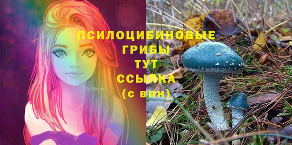 ПСИЛОЦИБИНОВЫЕ ГРИБЫ Арсеньев