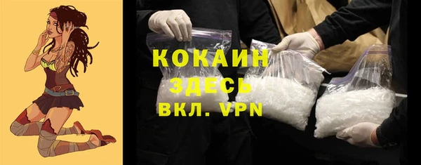 сатива Аркадак