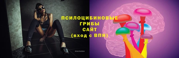 ПСИЛОЦИБИНОВЫЕ ГРИБЫ Арсеньев