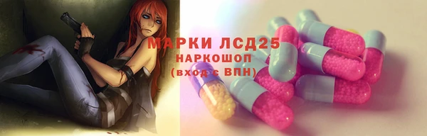 ПСИЛОЦИБИНОВЫЕ ГРИБЫ Арсеньев