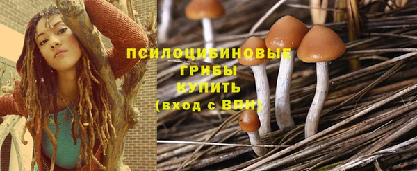 сатива Аркадак