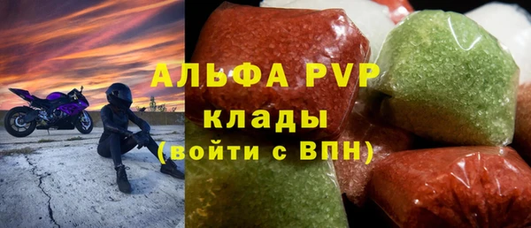 сатива Аркадак