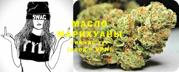сатива Аркадак