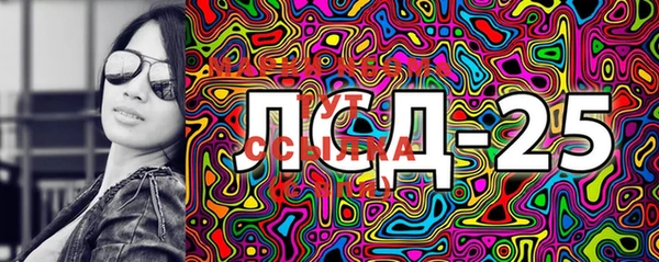 сатива Аркадак