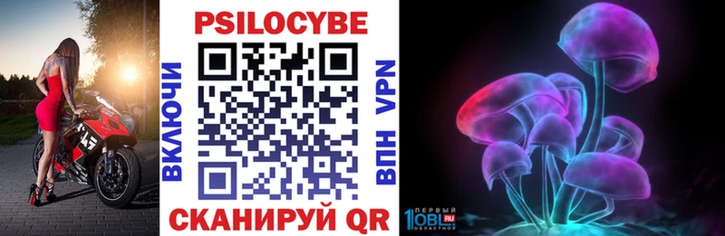 Купить  Нижний Новгород  Псилоцибиновые грибы Psilocybine cubensis 
